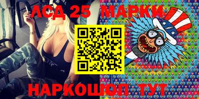 apvp Гатчина