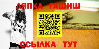 apvp Гатчина